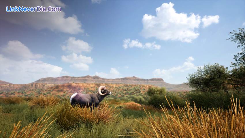 Hình ảnh trong game Hunting Simulator 2 (screenshot) Hình ảnh trong game Hunting Simulator 2 (screenshot)
