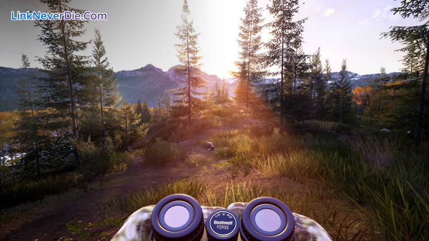 Hình ảnh trong game Hunting Simulator 2 (screenshot) Hình ảnh trong game Hunting Simulator 2 (screenshot)