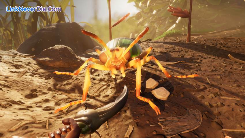Hình ảnh trong game Grounded (screenshot) Hình ảnh trong game Grounded (screenshot)
