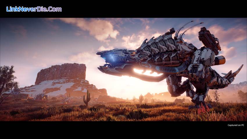 Hình ảnh trong game Horizon Zero Dawn (screenshot) Hình ảnh trong game Horizon Zero Dawn (screenshot)