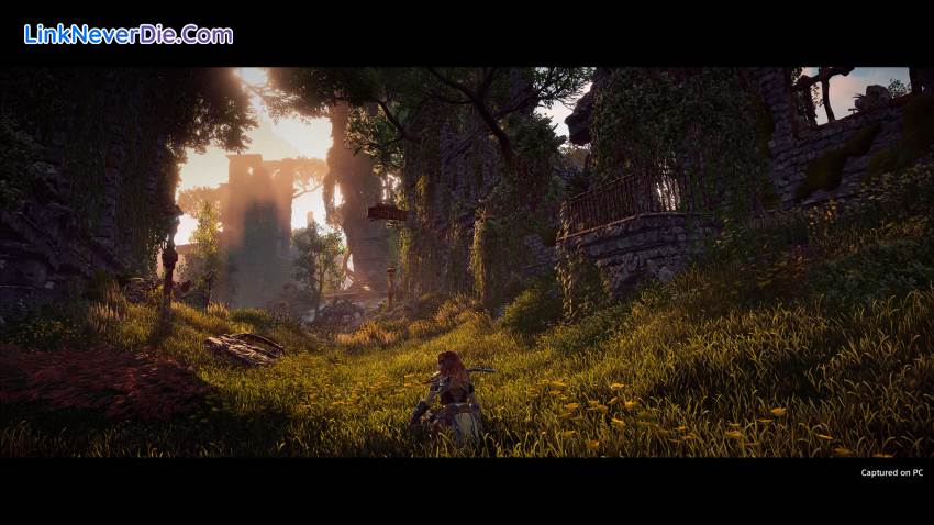 Hình ảnh trong game Horizon Zero Dawn (screenshot) Hình ảnh trong game Horizon Zero Dawn (screenshot)