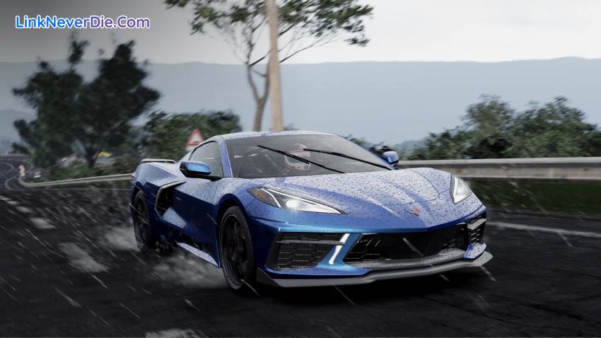 Hình ảnh trong game Project CARS 3 (screenshot) Hình ảnh trong game Project CARS 3 (screenshot)
