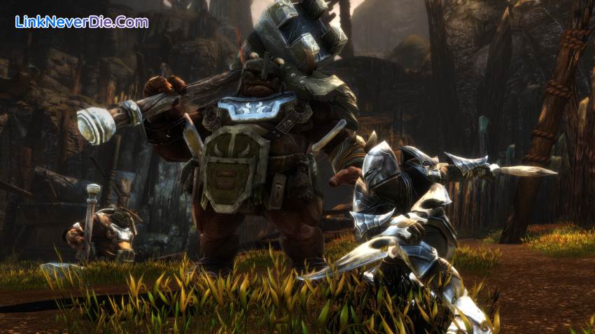 Hình ảnh trong game Kingdoms of Amalur: Re-Reckoning (screenshot) Hình ảnh trong game Kingdoms of Amalur: Re-Reckoning (screenshot)