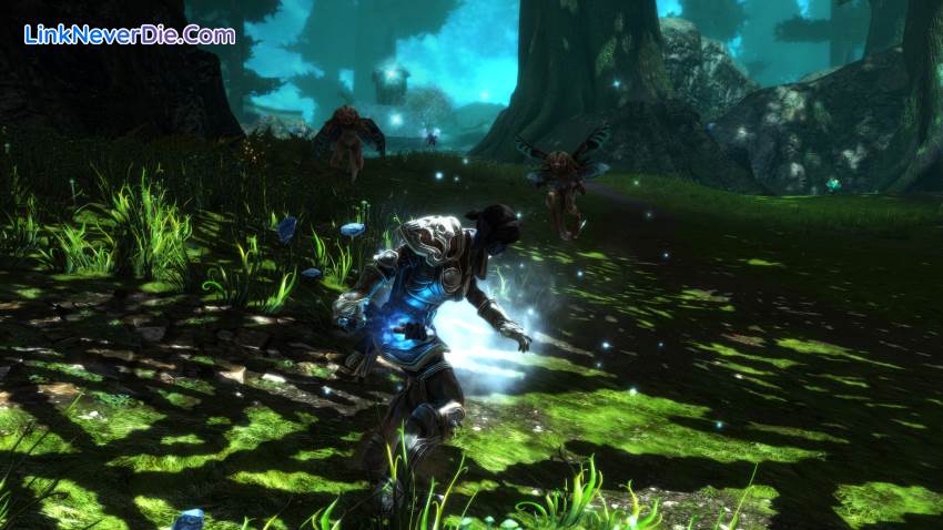 Hình ảnh trong game Kingdoms of Amalur: Re-Reckoning (screenshot) Hình ảnh trong game Kingdoms of Amalur: Re-Reckoning (screenshot)