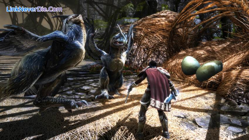 Hình ảnh trong game Kingdoms of Amalur: Re-Reckoning (screenshot) Hình ảnh trong game Kingdoms of Amalur: Re-Reckoning (screenshot)