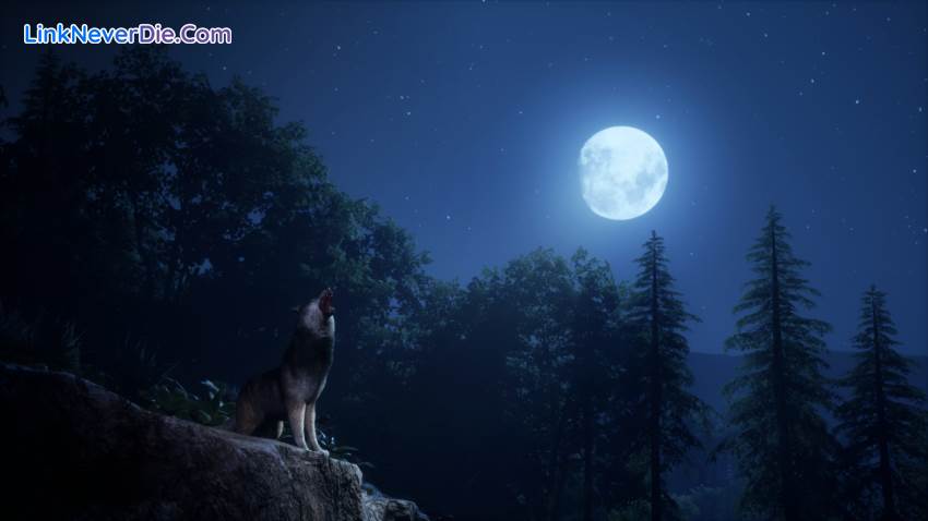 Hình ảnh trong game Medieval Dynasty (screenshot) Hình ảnh trong game Medieval Dynasty (screenshot)