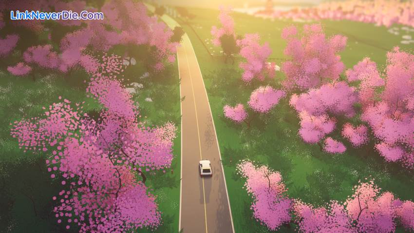 Hình ảnh trong game art of rally (screenshot) Hình ảnh trong game art of rally (screenshot)