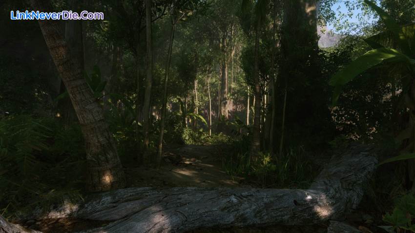 Hình ảnh trong game Crysis Remastered (screenshot) Hình ảnh trong game Crysis Remastered (screenshot)