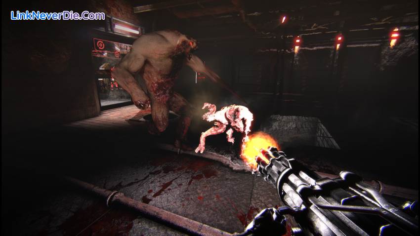 Hình ảnh trong game Cargo 3 (screenshot) Hình ảnh trong game Cargo 3 (screenshot)