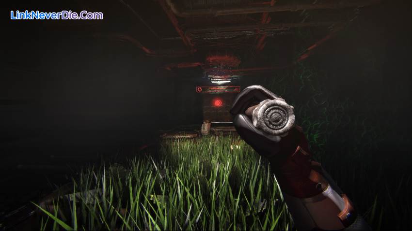 Hình ảnh trong game Cargo 3 (screenshot) Hình ảnh trong game Cargo 3 (screenshot)