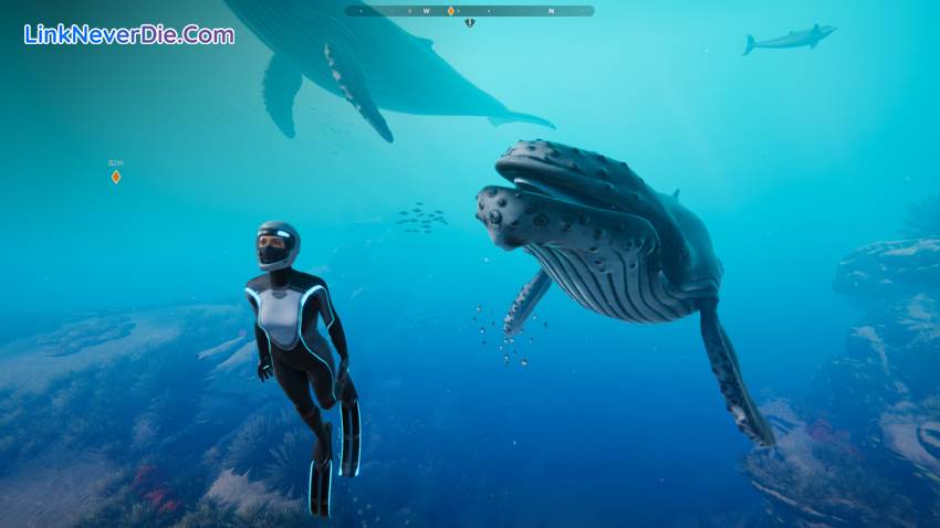 Hình ảnh trong game Beyond Blue (screenshot) Hình ảnh trong game Beyond Blue (screenshot)