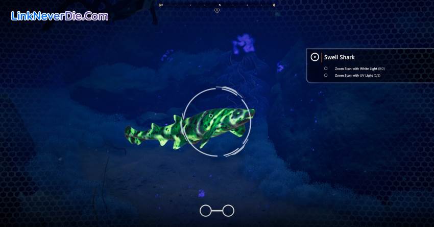Hình ảnh trong game Beyond Blue (screenshot) Hình ảnh trong game Beyond Blue (screenshot)