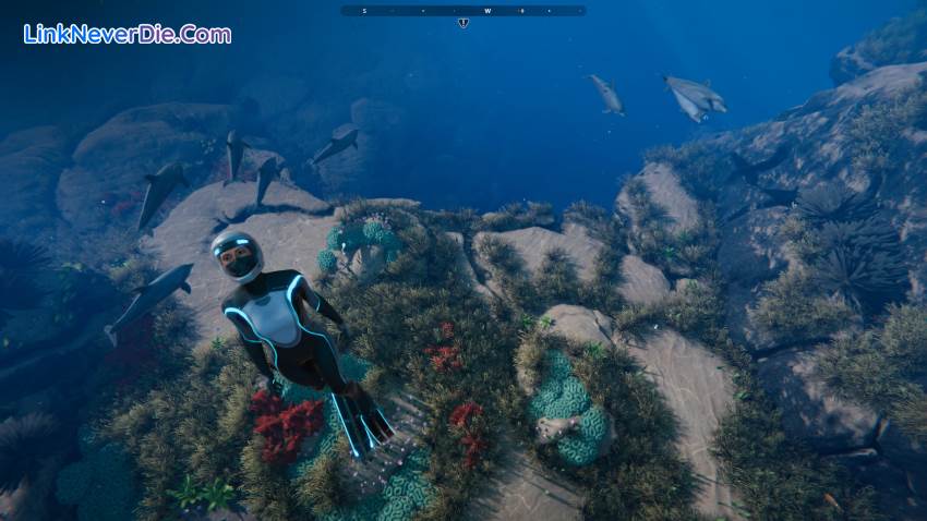 Hình ảnh trong game Beyond Blue (screenshot) Hình ảnh trong game Beyond Blue (screenshot)