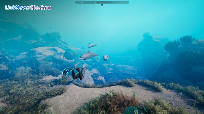 Hình ảnh trong game Beyond Blue (screenshot) Hình ảnh trong game Beyond Blue (screenshot)