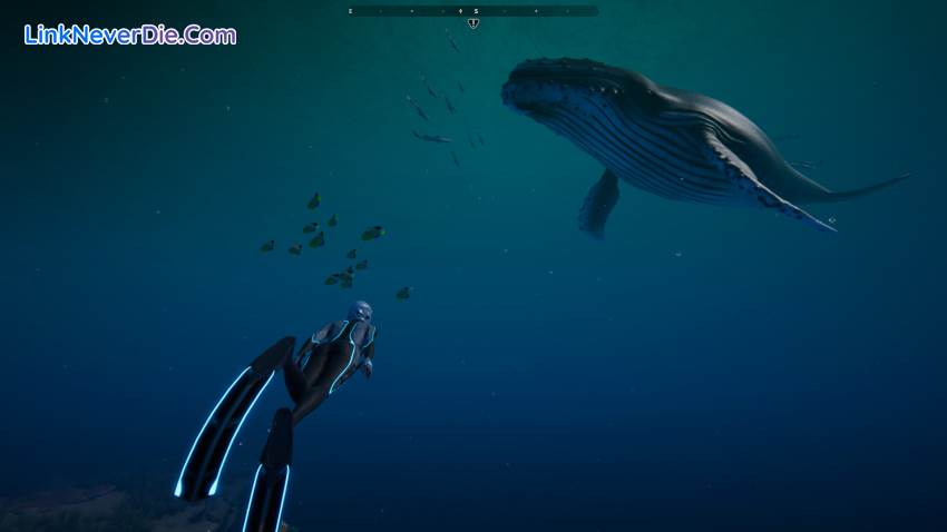 Hình ảnh trong game Beyond Blue (screenshot) Hình ảnh trong game Beyond Blue (screenshot)
