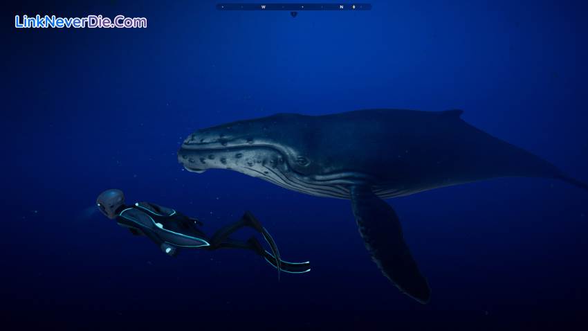 Hình ảnh trong game Beyond Blue (screenshot) Hình ảnh trong game Beyond Blue (screenshot)