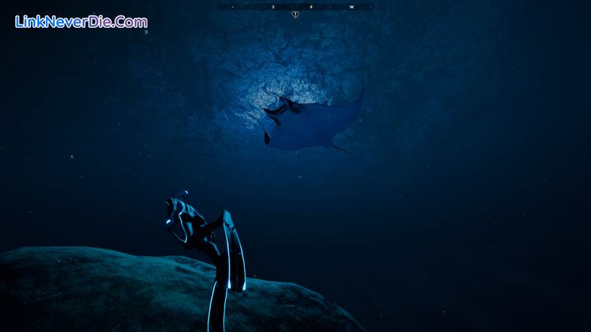 Hình ảnh trong game Beyond Blue (screenshot) Hình ảnh trong game Beyond Blue (screenshot)