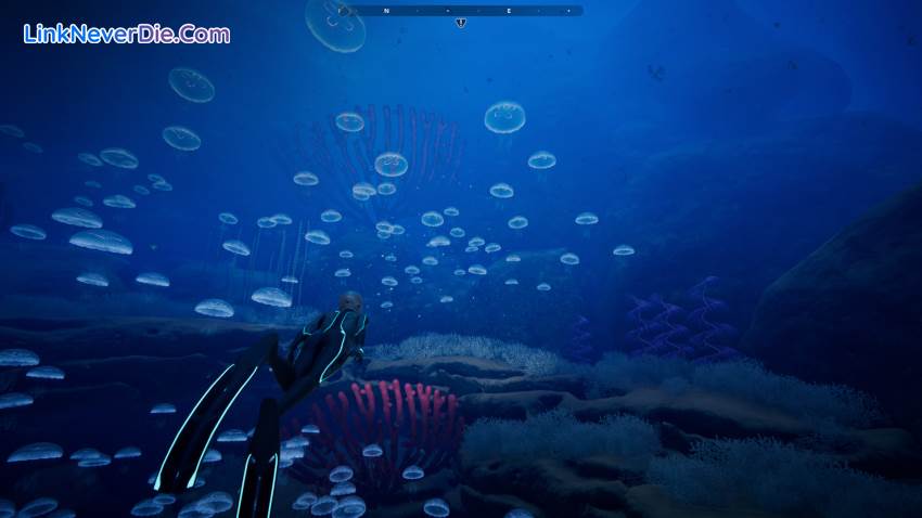 Hình ảnh trong game Beyond Blue (screenshot) Hình ảnh trong game Beyond Blue (screenshot)