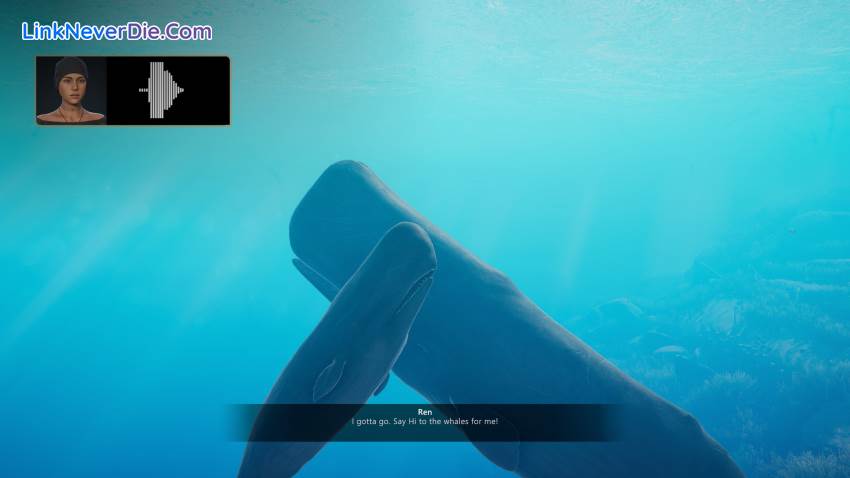 Hình ảnh trong game Beyond Blue (screenshot) Hình ảnh trong game Beyond Blue (screenshot)