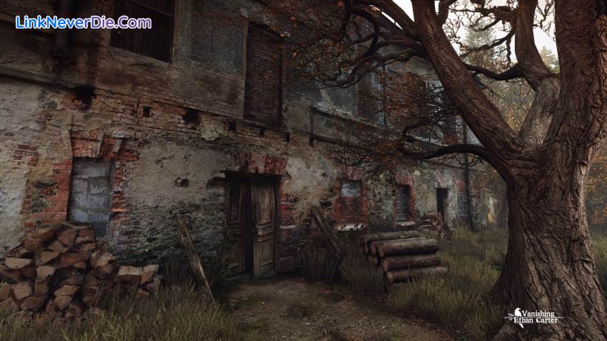 Hình ảnh trong game The Vanishing of Ethan Carter (screenshot) Hình ảnh trong game The Vanishing of Ethan Carter (screenshot)