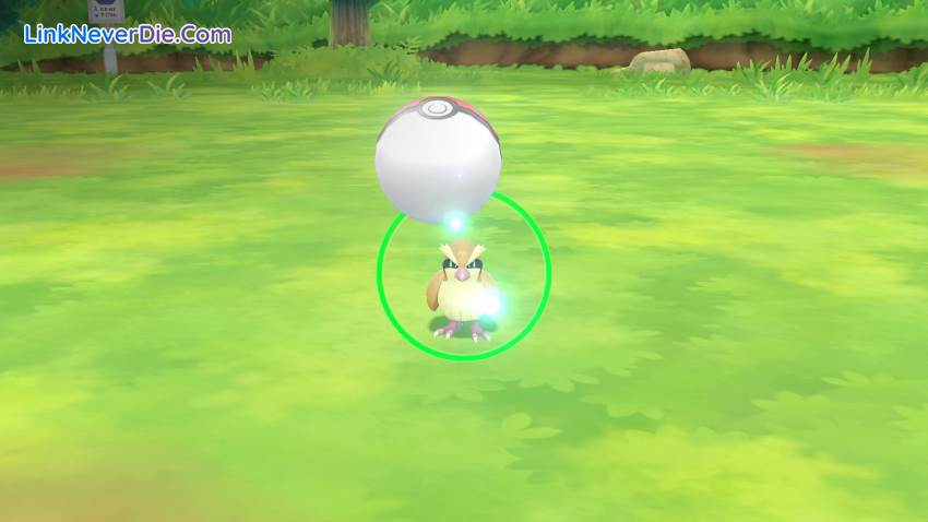Hình ảnh trong game Pokemon: Let’s Go, Pikachu and Eevee! (screenshot) Hình ảnh trong game Pokemon: Let’s Go, Pikachu and Eevee! (screenshot)
