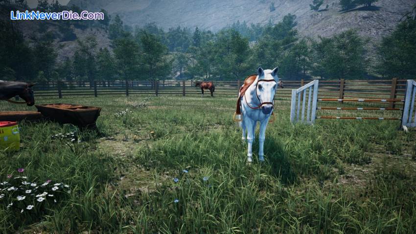 Hình ảnh trong game Ranch Simulator (screenshot) Hình ảnh trong game Ranch Simulator (screenshot)
