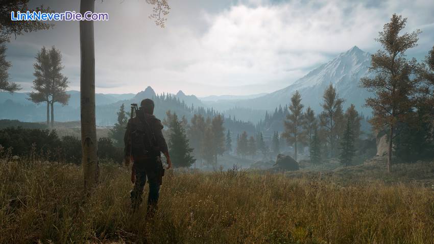 Hình ảnh trong game Days Gone (screenshot) Hình ảnh trong game Days Gone (screenshot)