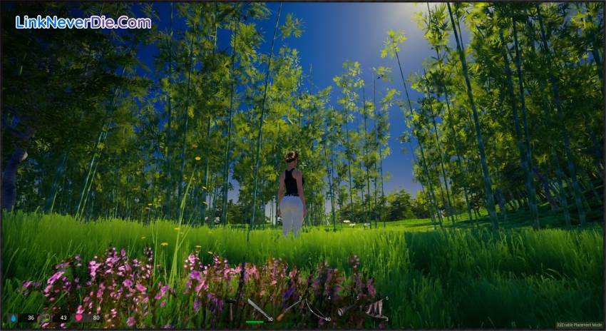 Hình ảnh trong game My Island (screenshot) Hình ảnh trong game My Island (screenshot)