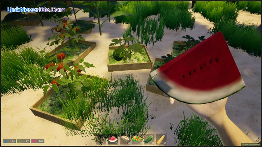 Hình ảnh trong game My Island (screenshot) Hình ảnh trong game My Island (screenshot)