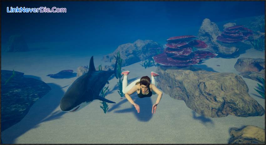 Hình ảnh trong game My Island (screenshot) Hình ảnh trong game My Island (screenshot)
