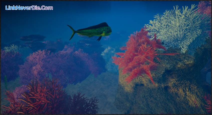 Hình ảnh trong game My Island (screenshot) Hình ảnh trong game My Island (screenshot)