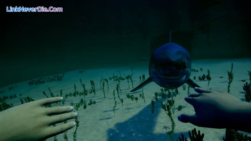 Hình ảnh trong game My Island (screenshot) Hình ảnh trong game My Island (screenshot)