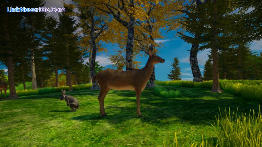 Hình ảnh trong game My Island (screenshot) Hình ảnh trong game My Island (screenshot)
