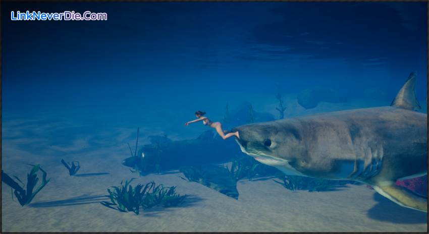 Hình ảnh trong game My Island (screenshot) Hình ảnh trong game My Island (screenshot)