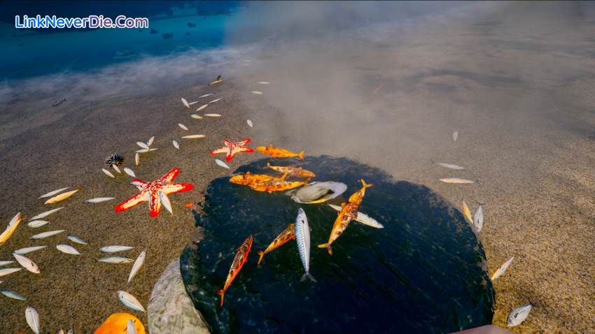 Hình ảnh trong game My Island (screenshot) Hình ảnh trong game My Island (screenshot)
