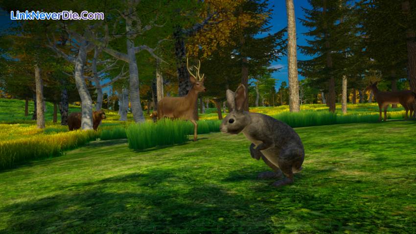 Hình ảnh trong game My Island (screenshot) Hình ảnh trong game My Island (screenshot)
