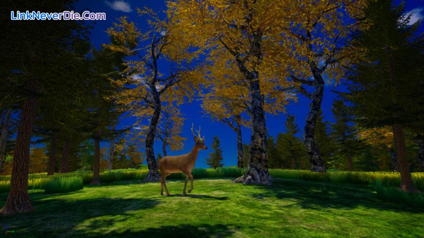 Hình ảnh trong game My Island (screenshot) Hình ảnh trong game My Island (screenshot)