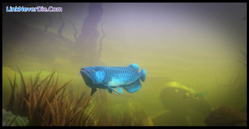 Hình ảnh trong game Feed and Grow: Fish (screenshot) Hình ảnh trong game Feed and Grow: Fish (screenshot)