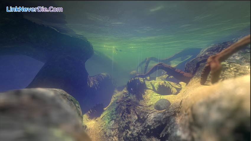 Hình ảnh trong game Feed and Grow: Fish (screenshot) Hình ảnh trong game Feed and Grow: Fish (screenshot)