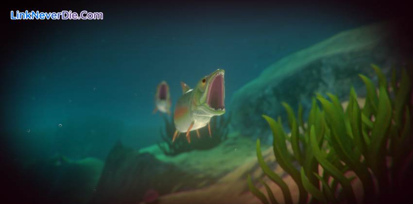 Hình ảnh trong game Feed and Grow: Fish (screenshot) Hình ảnh trong game Feed and Grow: Fish (screenshot)