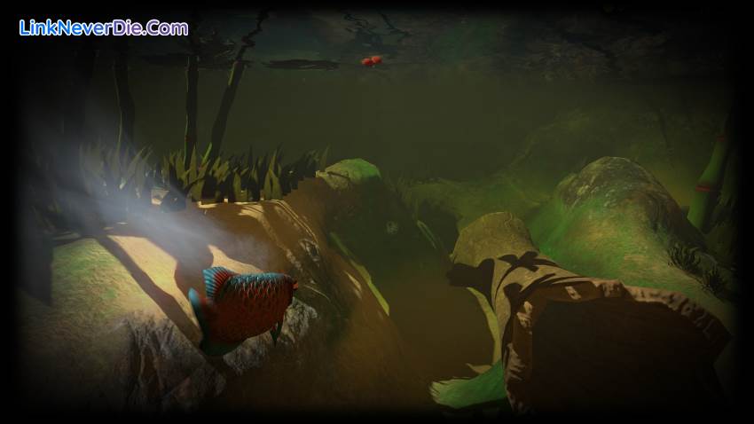 Hình ảnh trong game Feed and Grow: Fish (screenshot) Hình ảnh trong game Feed and Grow: Fish (screenshot)