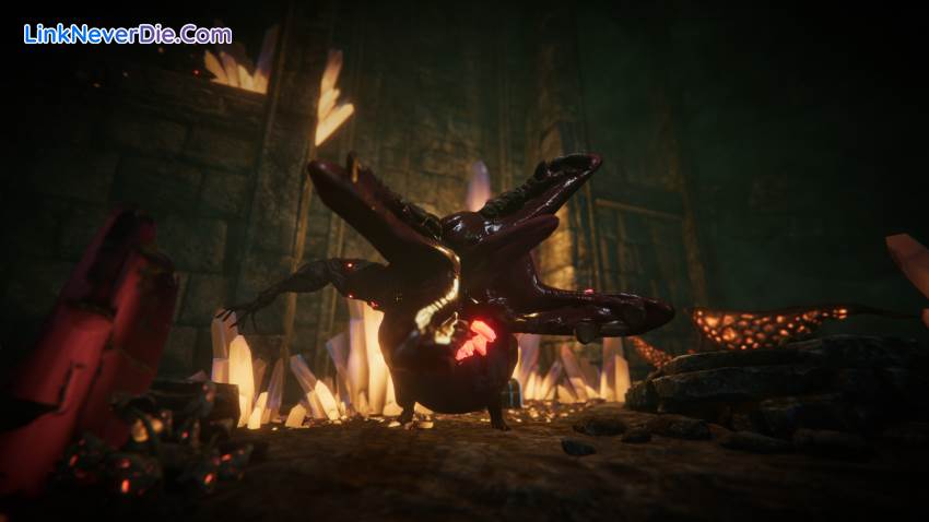 Hình ảnh trong game Edge Of Eternity (screenshot) Hình ảnh trong game Edge Of Eternity (screenshot)