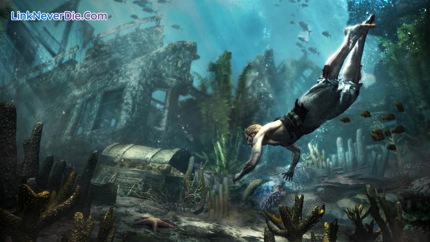 Hình ảnh trong game Assassin's Creed 4: Black Flag (screenshot) Hình ảnh trong game Assassin's Creed 4: Black Flag (screenshot)