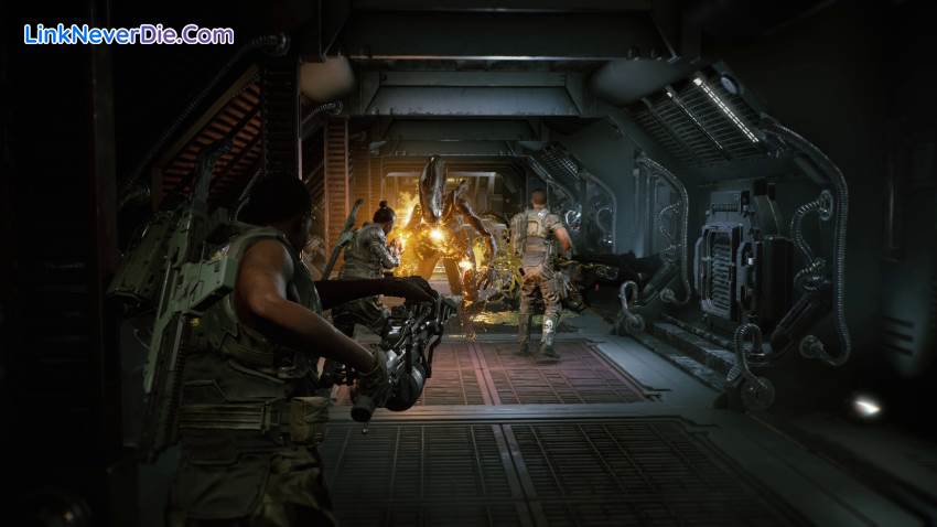 Hình ảnh trong game Aliens: Fireteam Elite (screenshot) Hình ảnh trong game Aliens: Fireteam Elite (screenshot)