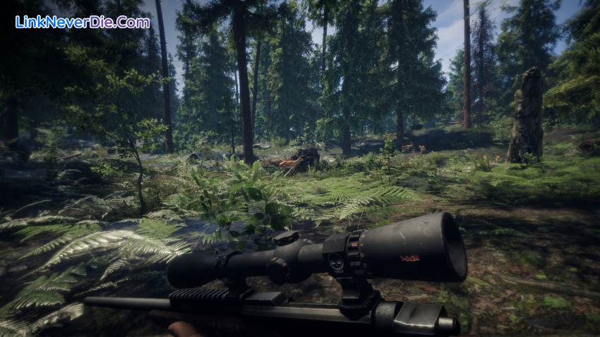 Hình ảnh trong game Survive the Nights (screenshot) Hình ảnh trong game Survive the Nights (screenshot)