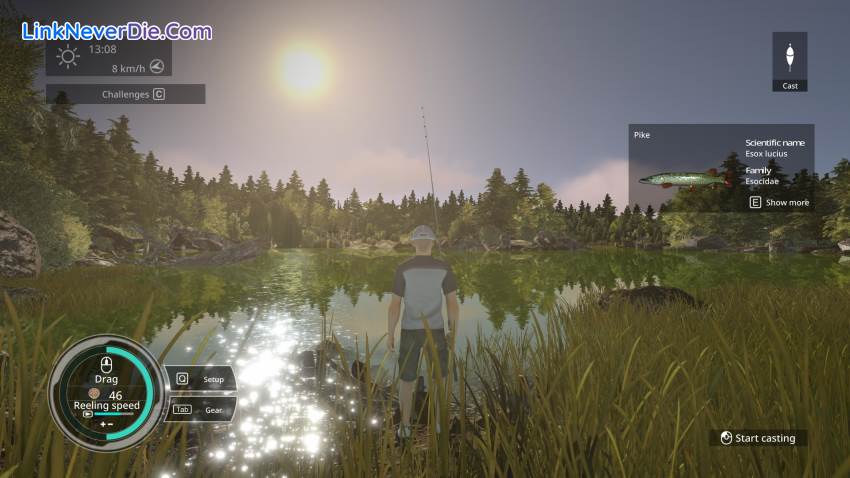 Hình ảnh trong game Pro Fishing Simulator (screenshot) Hình ảnh trong game Pro Fishing Simulator (screenshot)