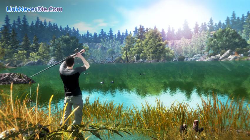 Hình ảnh trong game Pro Fishing Simulator (screenshot) Hình ảnh trong game Pro Fishing Simulator (screenshot)
