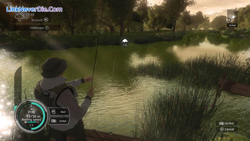 Hình ảnh trong game Pro Fishing Simulator (screenshot) Hình ảnh trong game Pro Fishing Simulator (screenshot)