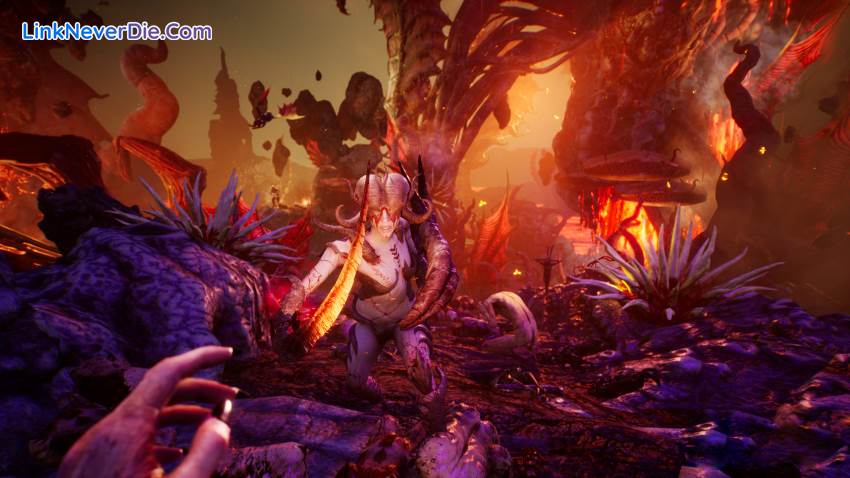 Hình ảnh trong game SUCCUBUS : Tormentress (screenshot) Hình ảnh trong game SUCCUBUS : Tormentress (screenshot)