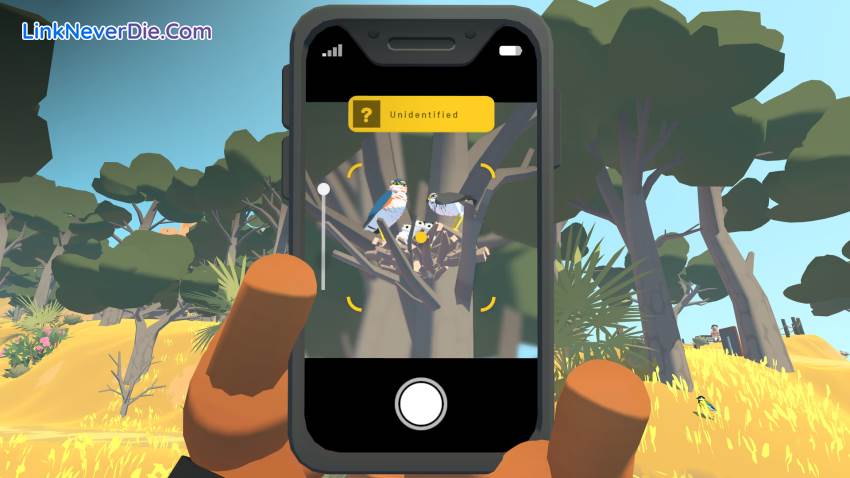 Hình ảnh trong game Alba: A Wildlife Adventure (screenshot) Hình ảnh trong game Alba: A Wildlife Adventure (screenshot)